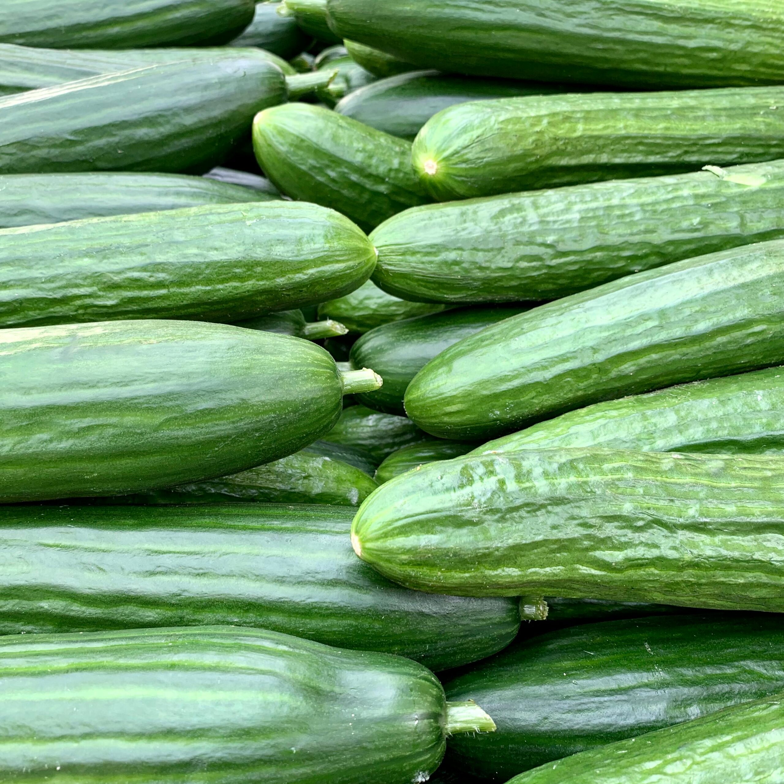 Lebensmittel  des Monats Juni